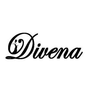 Divena fashion logo
