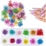 Dry Flower Set of 12 3D Flower Decals Manicure with Plastic Case